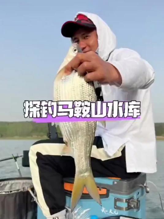 千川鲤轻量综合钓鱼竿 台钓鱼竿千川鲤轻硬好手感，关键是很实惠