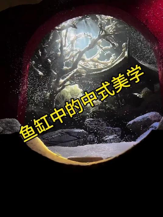 鱼缸中的中式美学碰上飘雪会有怎样的效果#萌宠#