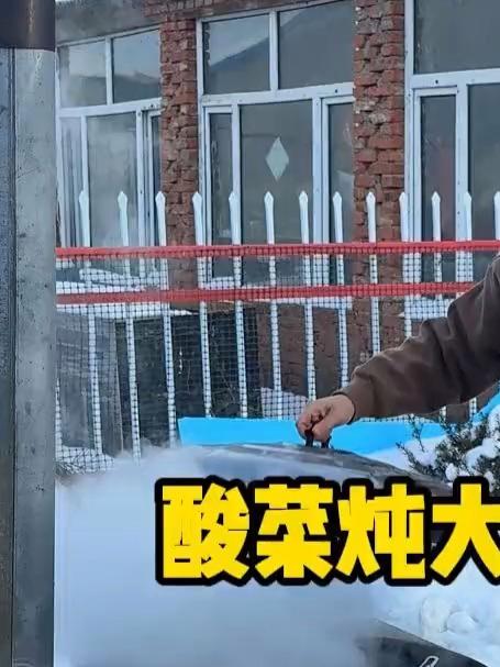 酸菜铁锅炖大鹅 #酸菜炖大鹅