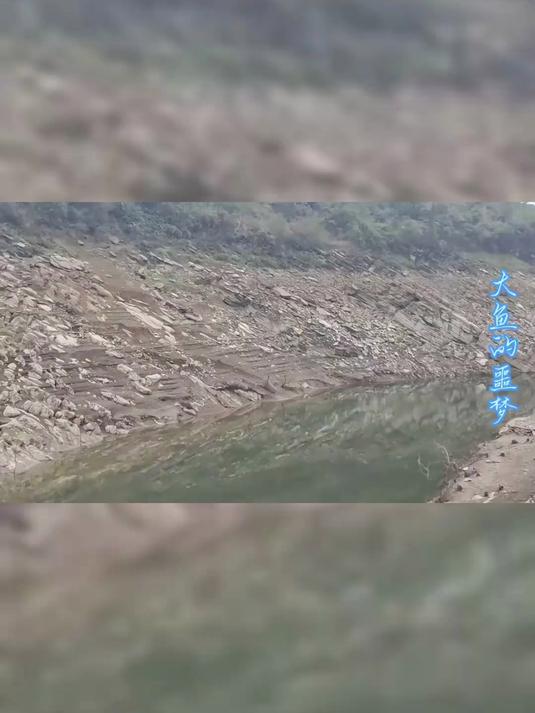 冬钓大板鲫,饵料里加点土方子,鲫鱼抢着吃还不花一分钱