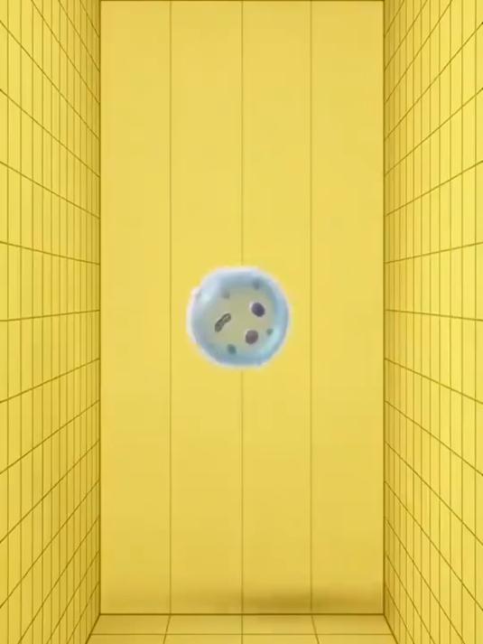 动物细胞原理