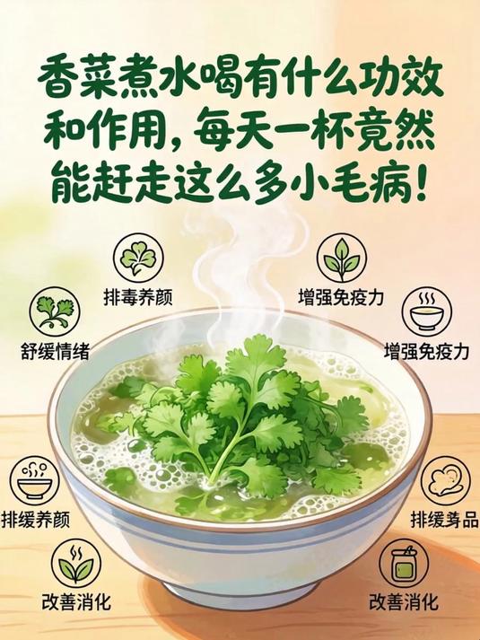 香菜煮水喝有什么功效和作用,每天一杯竟然能赶走这么多小毛病!
