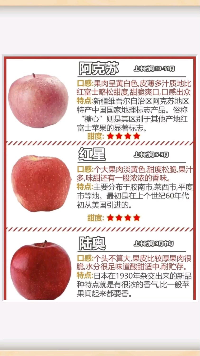 常见苹果的种类及特点