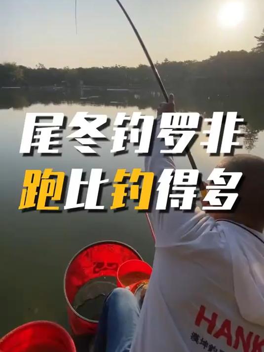 冬季钓罗非,气温低鱼口张不开,有口打不中,锚鱼多,麻烦