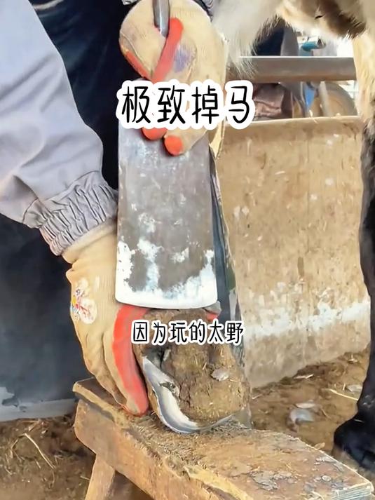 双男主文《极致掉马》第九集