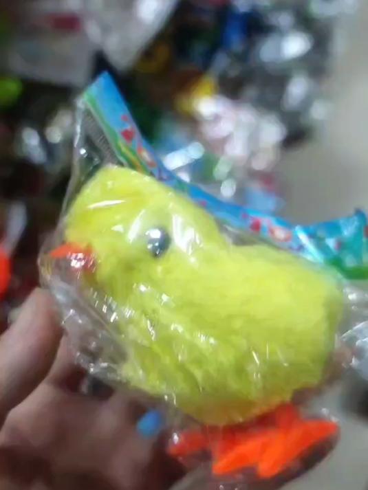 上完发条就可以跑的小鸡