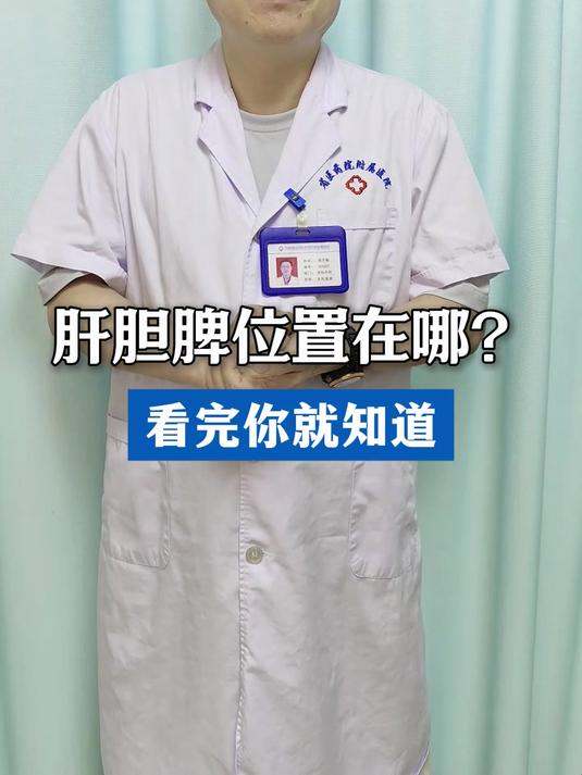 脾脏在哪里,看完就知道