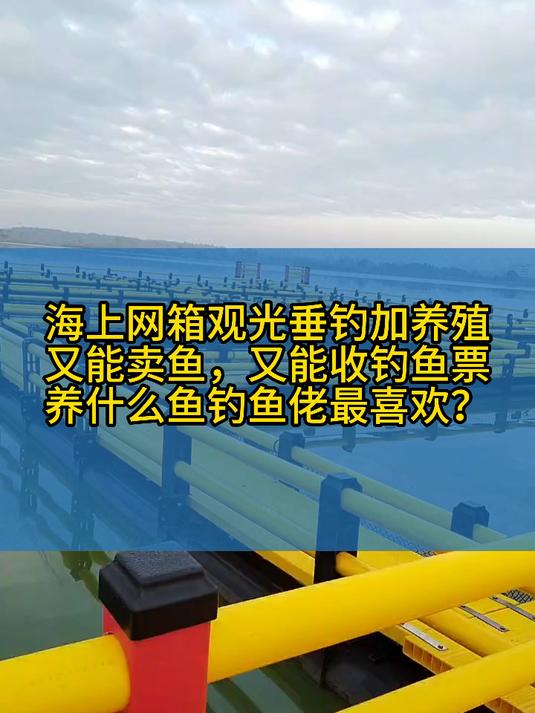 海洋牧歌,海上田园,休闲网箱,钓鱼休闲娱乐,还能养鱼