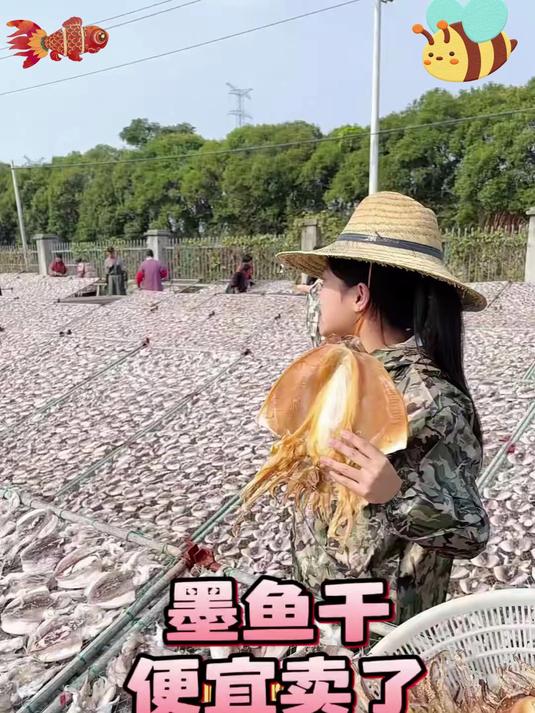 真正好品质的墨鱼干在原产地真的不贵