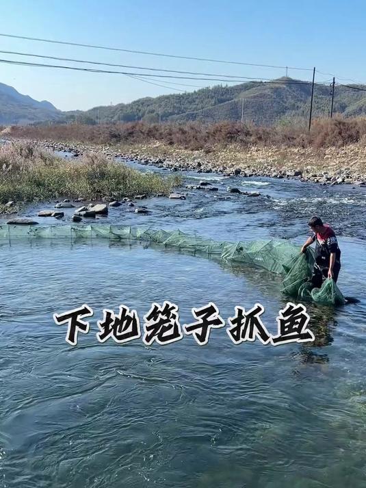 去小河下地笼子,收获各种各样的鱼