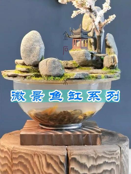 掌上微景观，鱼缸微景系列
