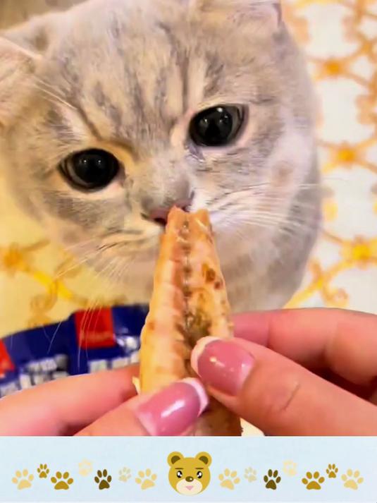 猫生鱼油猫条,每一口都是对喵宝贝的爱与承诺!