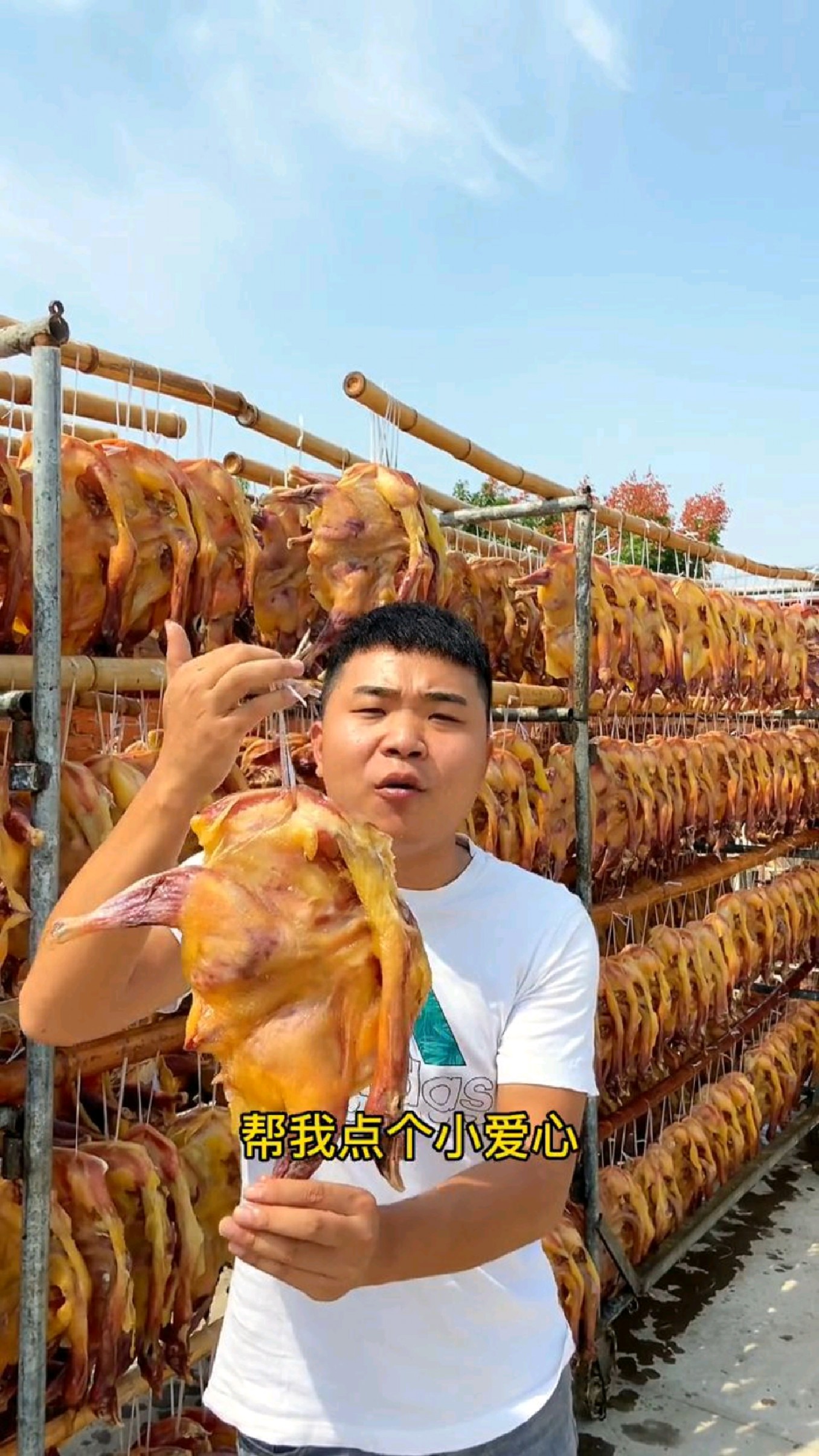 荆门特产风干鸡,肉质紧实口感咸香入味,5只只要一百多