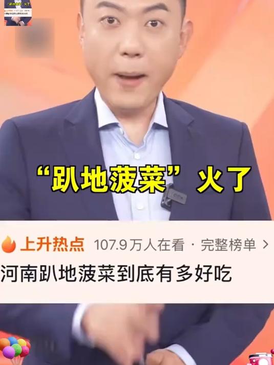 河南霜打趴地菠菜，红根厚叶清甜无涩，清炒免焯水