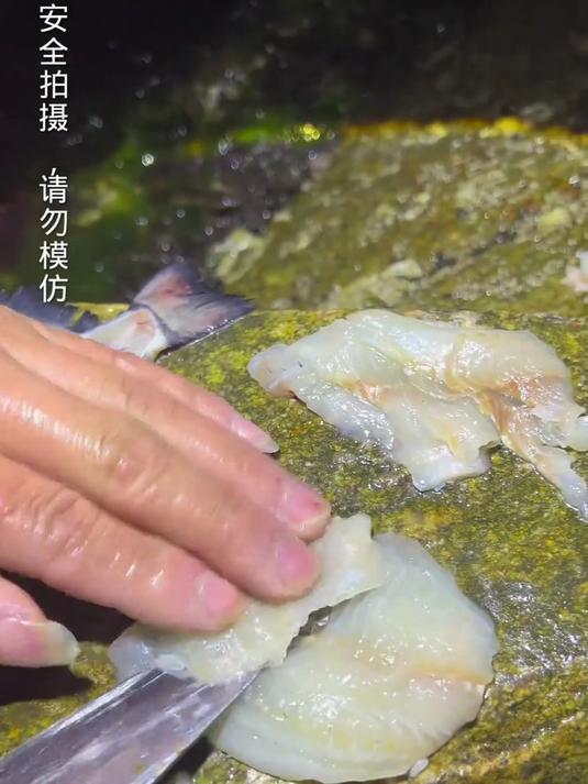 在海边发现了一条在陆地上睡觉和头上长角的鱼,料理一番太美味了