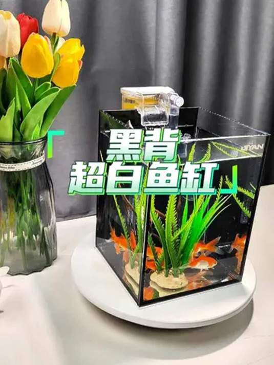 黑背超白玻璃鱼缸 小巧精致 鱼儿安全 视觉超棒