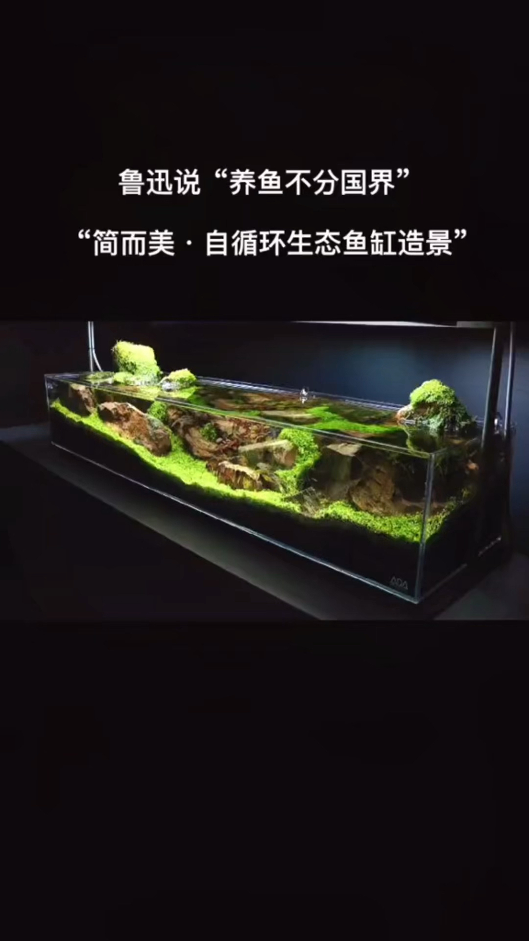 这一缸造景的水草泥,就得花你三月工资吧?