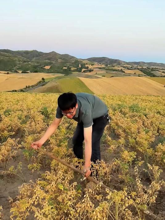 无糖无油无添加低脂高蛋白低热量_大颗粒盐炒鹰嘴豆