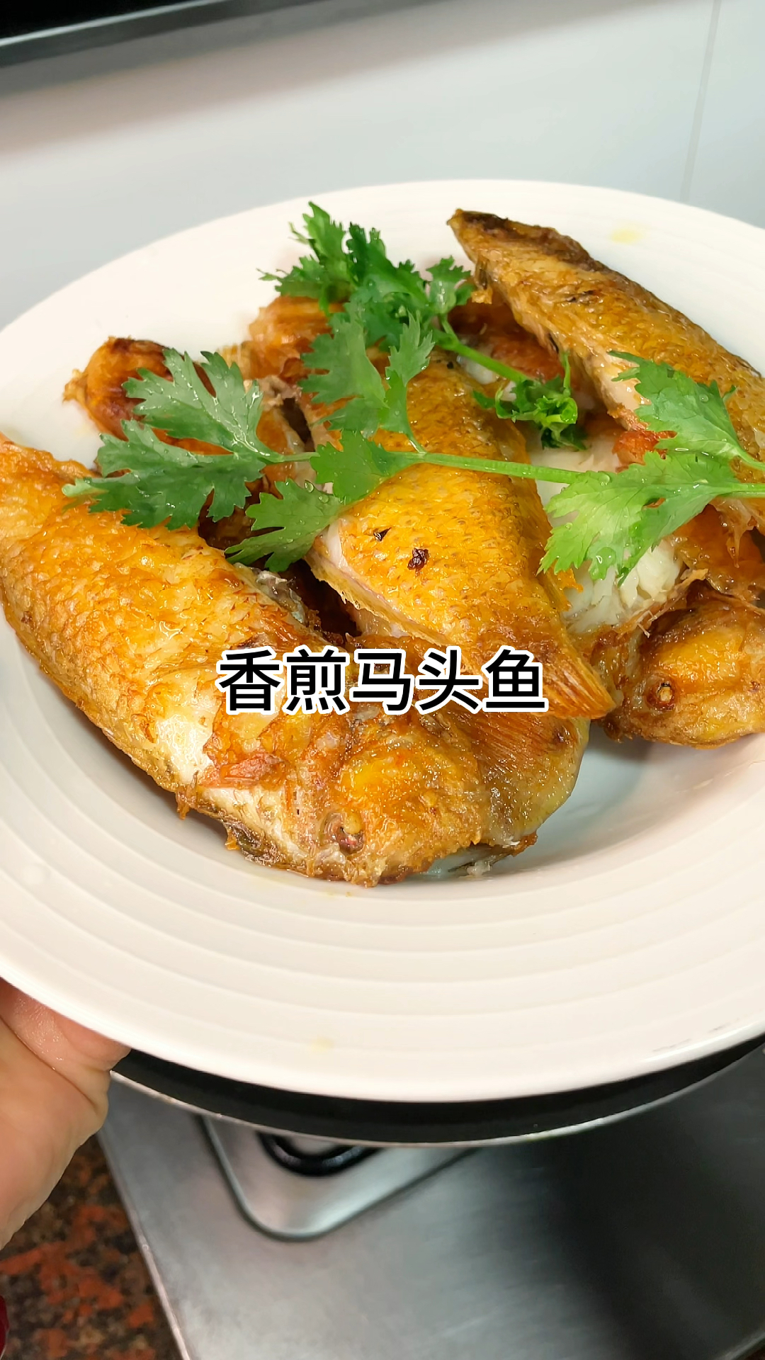 买的马头鱼香煎最好吃了,家常做法简单美味
