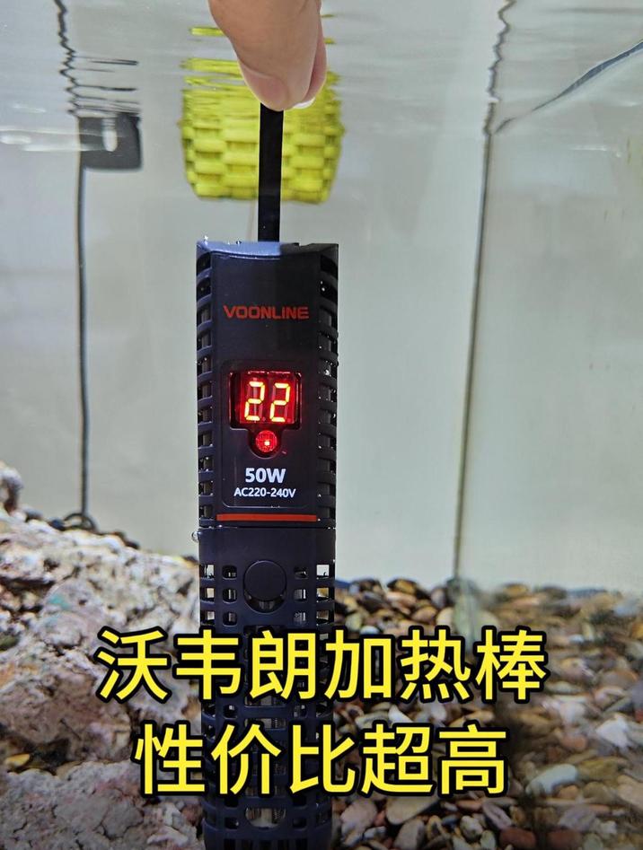 天这么冷,鱼缸必须用上加热棒,高性价比的加热棒推荐