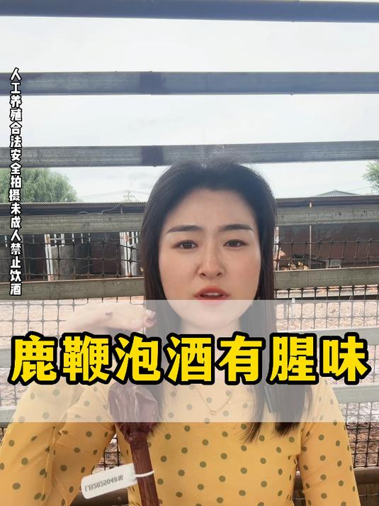 鹿鞭泡酒有腥味