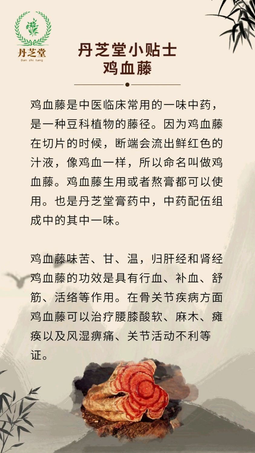 中药鸡血藤在骨关节疾病中的功效