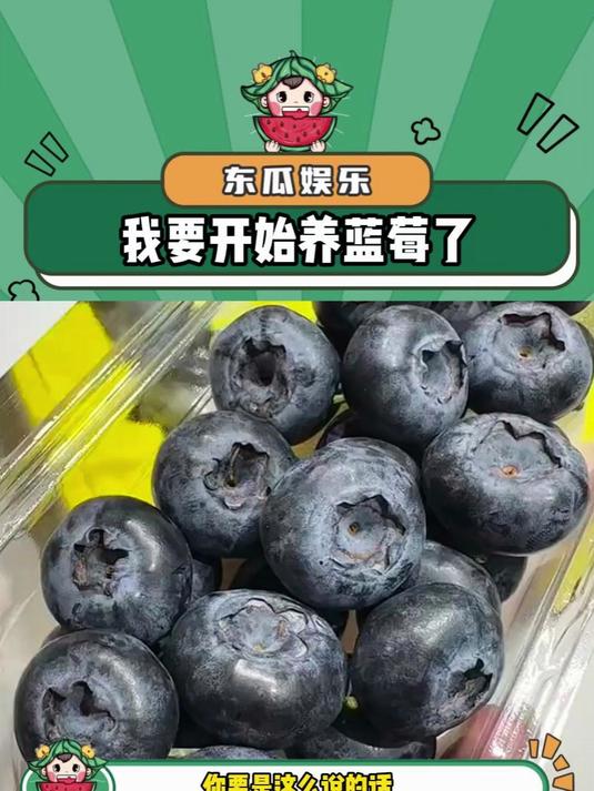 叫着我贪吃的闺蜜一起实现蓝莓自由!