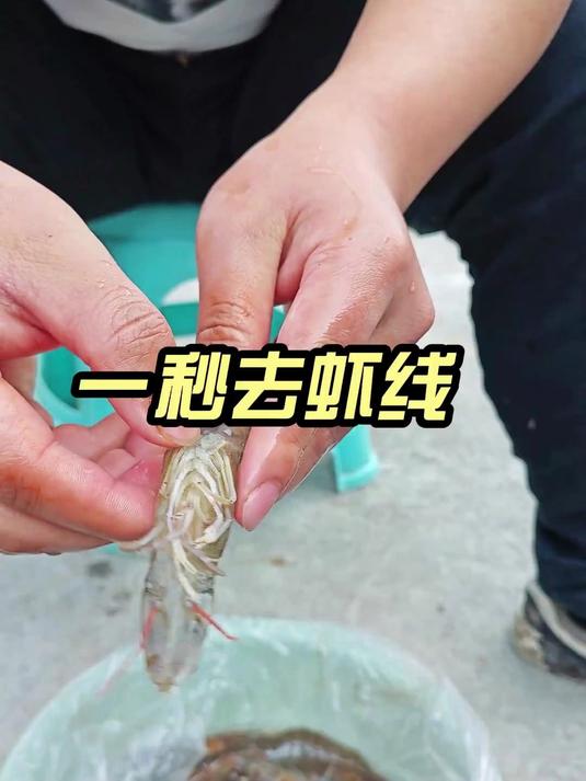 如何一秒去虾线
