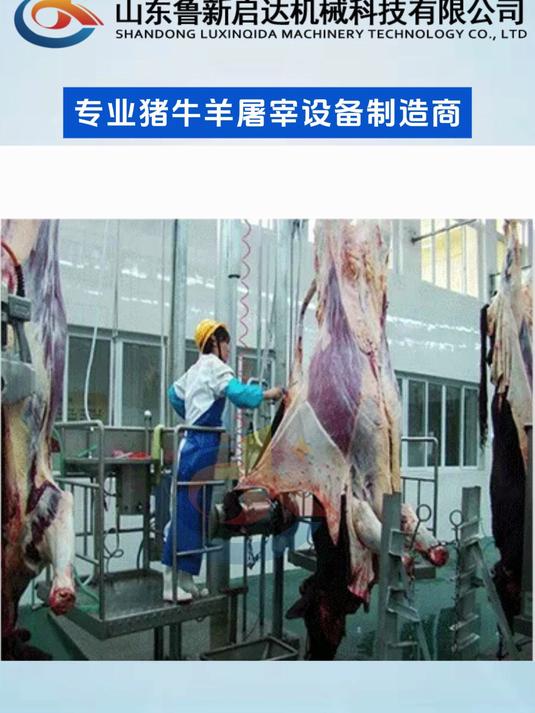 鲁新启达机械牛扯皮机屠宰厂家使用视频