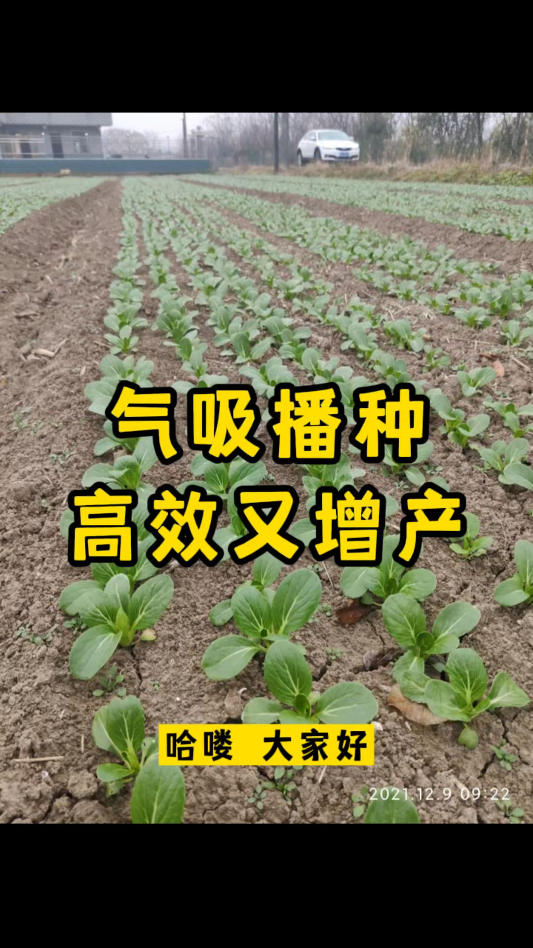 要想蔬菜种的好,就用大顺精密播种机