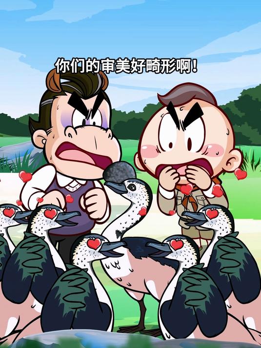 唐唐冷知识：瘤鸭的搞笑行为大赏，第三个超好玩！