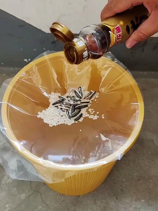 自制简易高效的捕鼠神器，老鼠来一个抓一个
