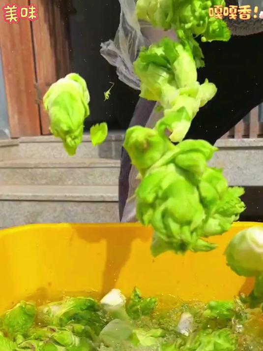 吃不完的儿菜不用丢像我这样做成泡菜酸脆爽口非常下饭 泡儿菜