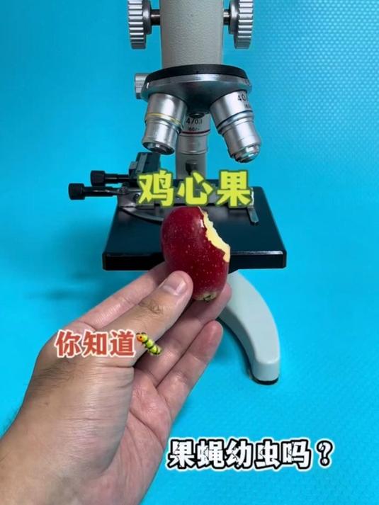 鸡心果你还喜欢吃吗?