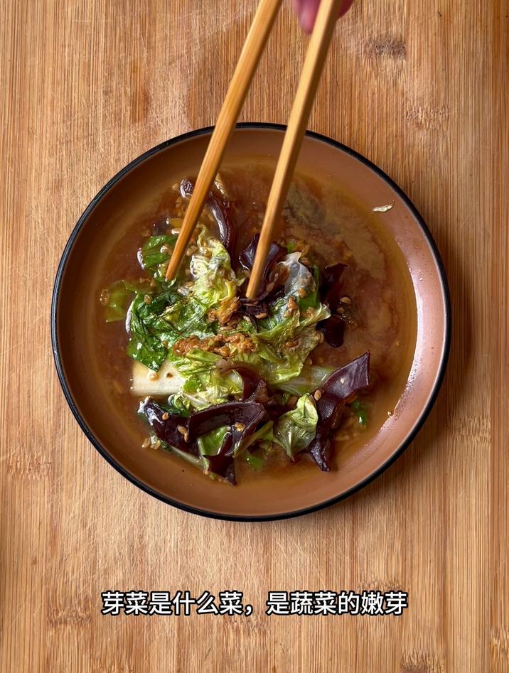 芽菜是什么菜，是蔬菜的嫩芽