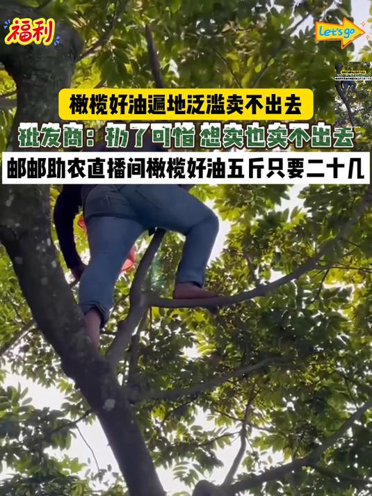 我平时做饭就喜欢用这种菜籽油,炒出来的菜特别香