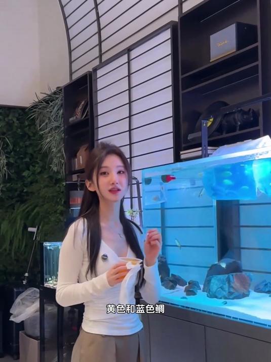 三湖慈鲷，随手拍的都是我想留住的，三湖雌鲷
