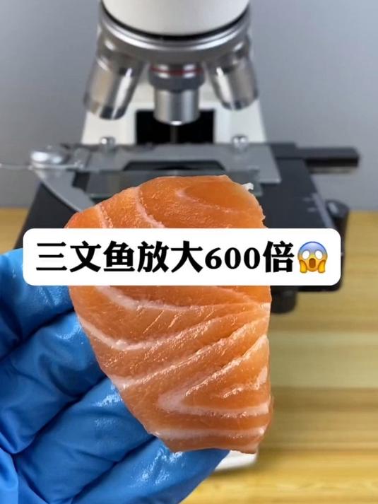 三文鱼真有寄生虫吗