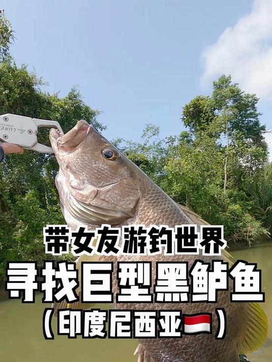 据说，这是世界上最凶猛的淡水鱼……