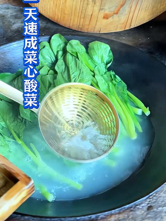 菜心酸菜 一天就变黄变酸的速成酸菜，适用硬根叶子菜