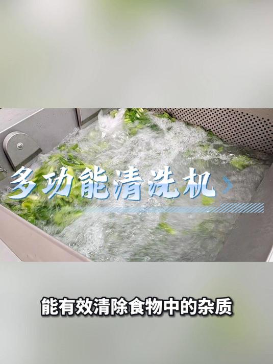 多功能清洗机涡流气泡清洗满足多种果蔬肉类水产清洗自动出料#清洗机##洗菜机##洗肉机#