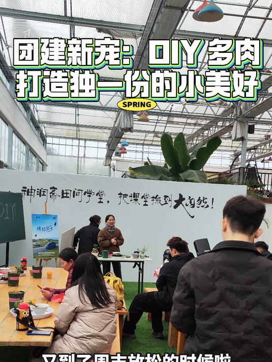 团建新宠:DIY 多肉,打造独一份的小美好@神润斋团建营地