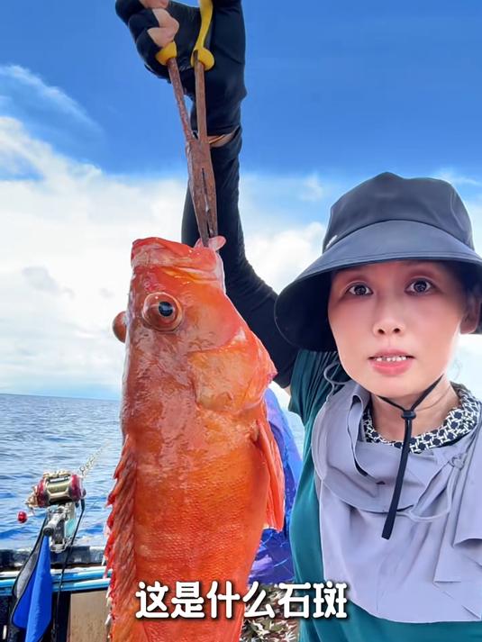 带你认识西沙26种石斑鱼