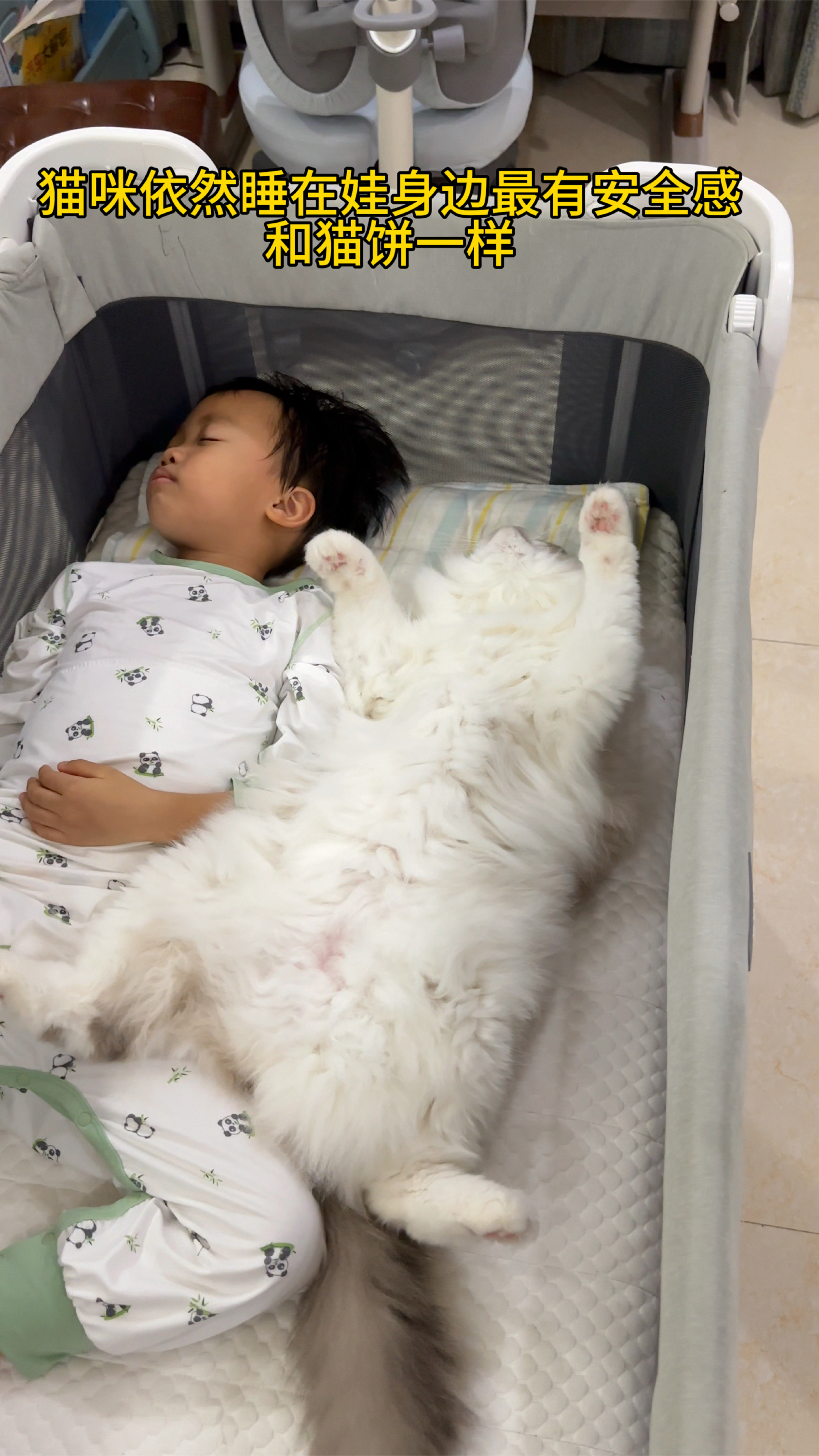 当年偷偷跑去和宝宝睡觉的猫咪,四年后竟沦落如此地步.#猫咪带娃#猫和宝宝的日常