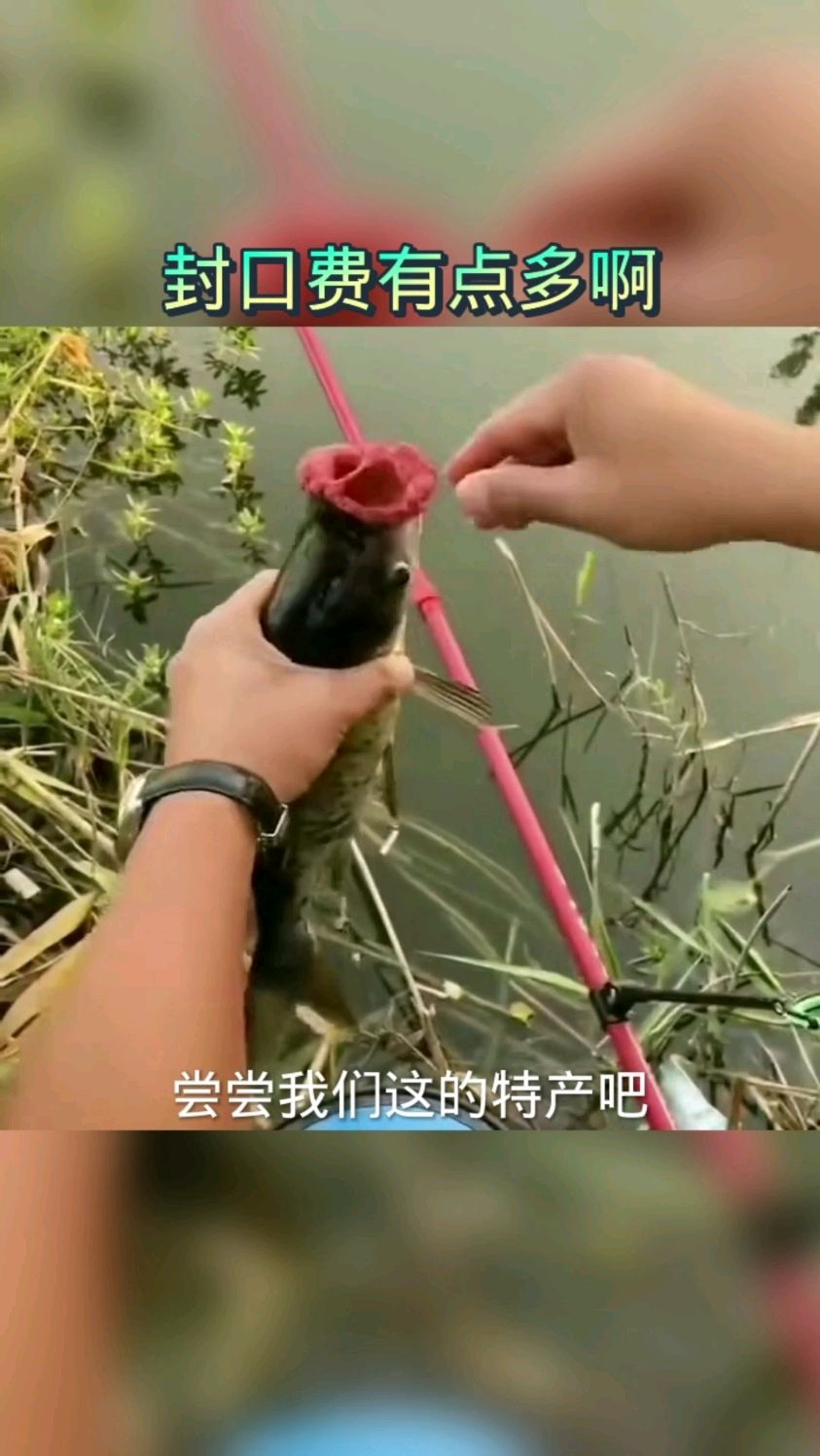 鱼:我回去嘴都被亲烂了!