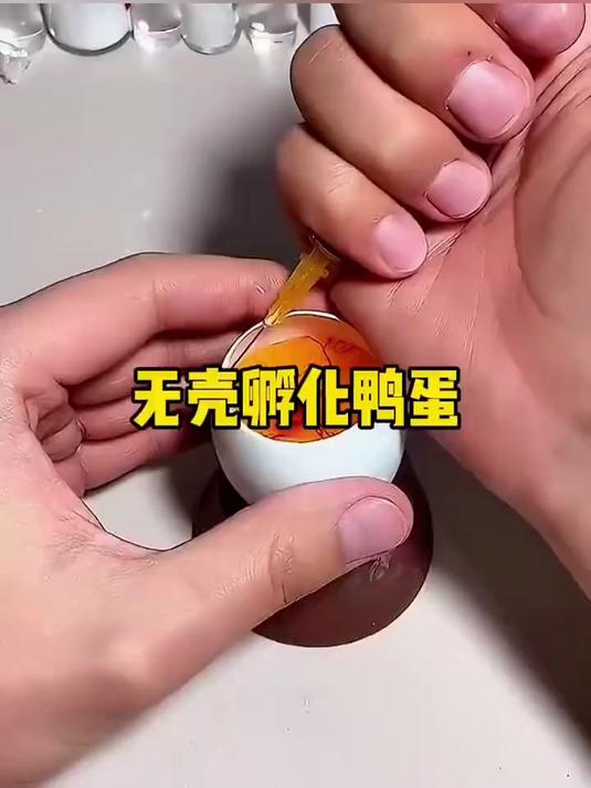 鸭妈妈不小心,将鸭蛋生在了坚硬的地板上,鸭蛋直接就碎了