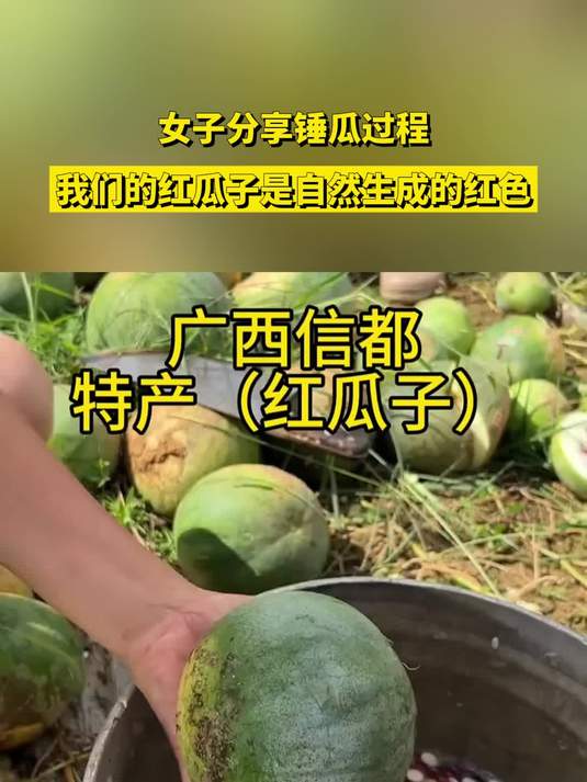 女子分享锤瓜过程,我们的红瓜子是自然生成的红色
