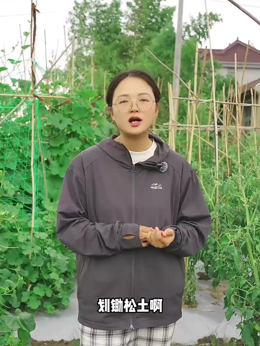 瓜类蔬菜如何才能结瓜多？