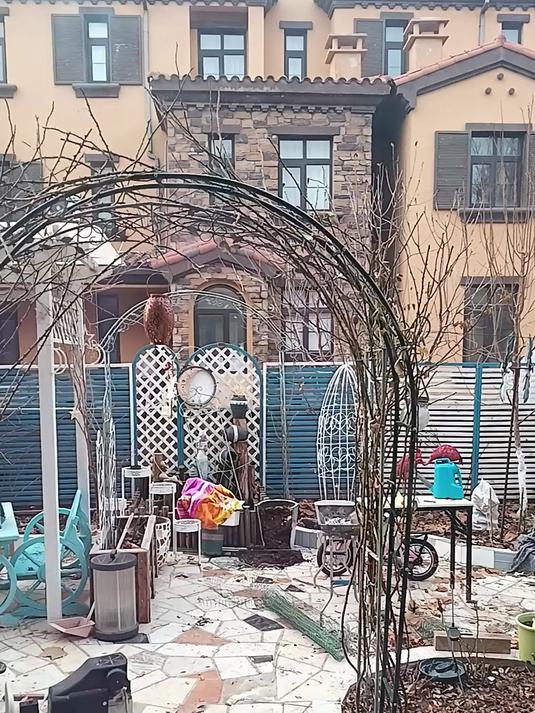 贝拉多娜朱顶红,9。9的球