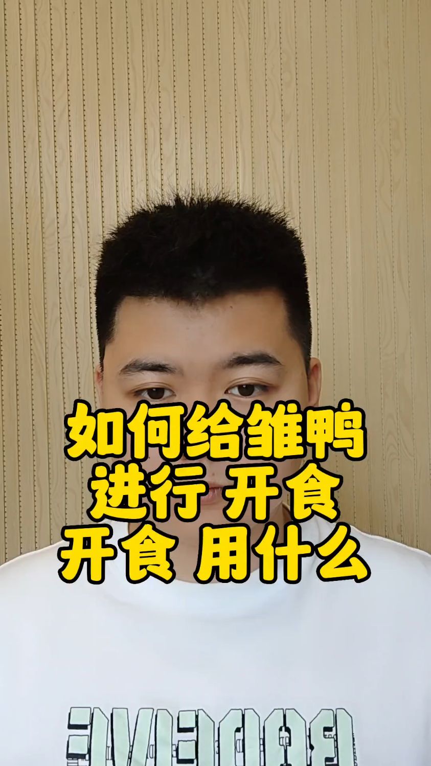 #雏鸭开食吃什么小鸭开食先喂什么小鸭什么时候喂开口料小鸭多久开食好雏鸭多长时间开食